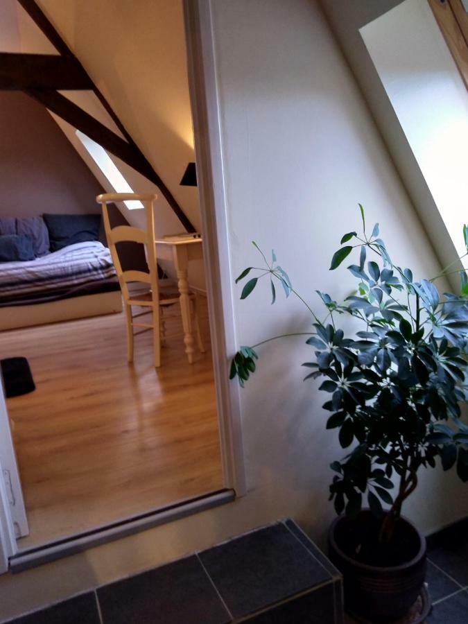 Bed and Breakfast La Ferme de la Papote à Morbecque Extérieur photo